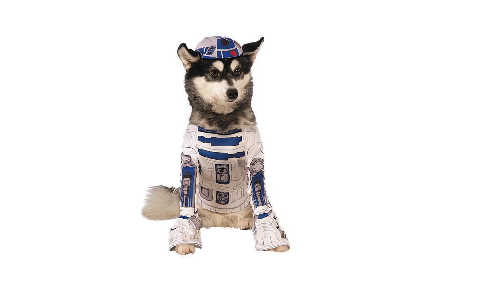 Most Popular Star Wars Dog Name