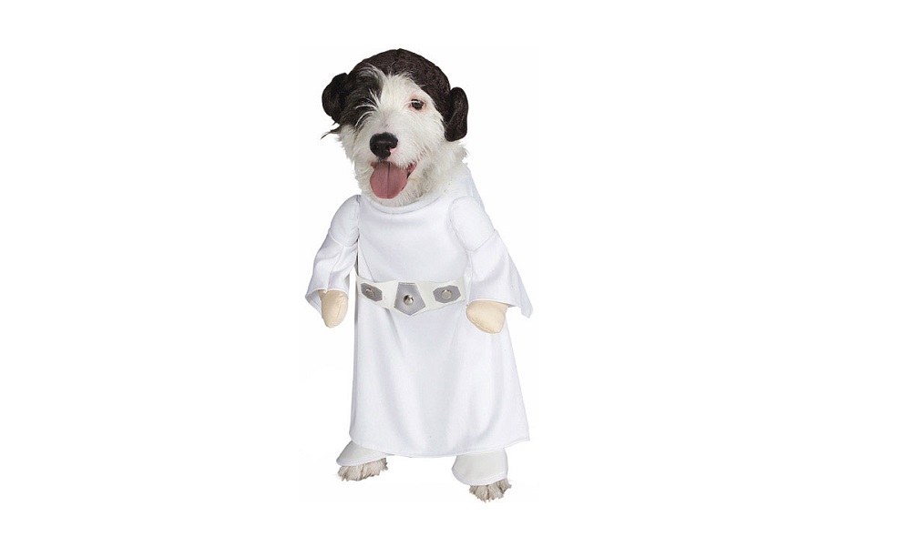 Star Wars Character Dog Names