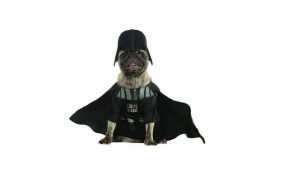 The Ultimate List of Star Wars Dog Names – Pet Guide Reviews