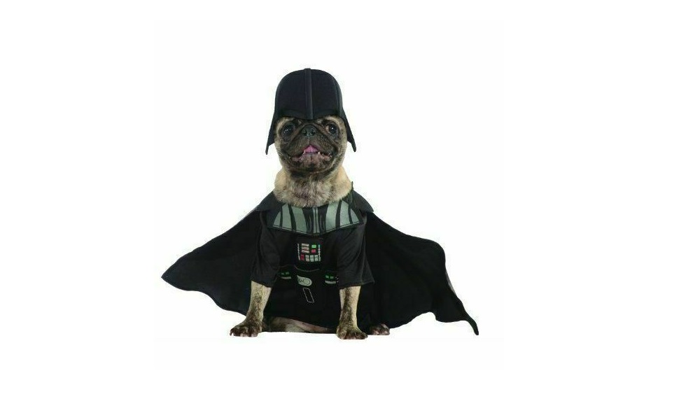 Star Wars Dog Names Inspired by the Film Rogue One