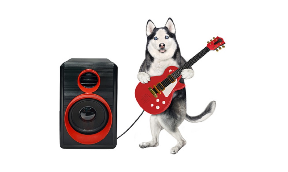 Husky Dog Names Inspired by Music