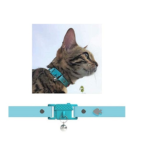 Bingpet Adjustable Cat Collar Bell Review