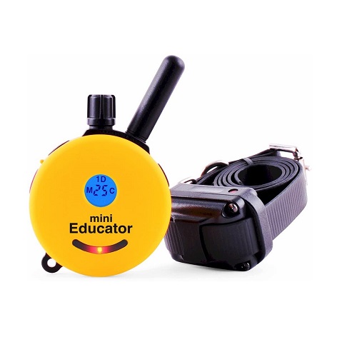 Educator E-Collar Remote Dog Training Collar