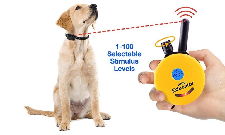 Mini Educator E-Collar Remote Dog Training Collar Review