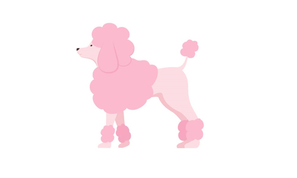Poodle Names Inspired by Cartoon Characters