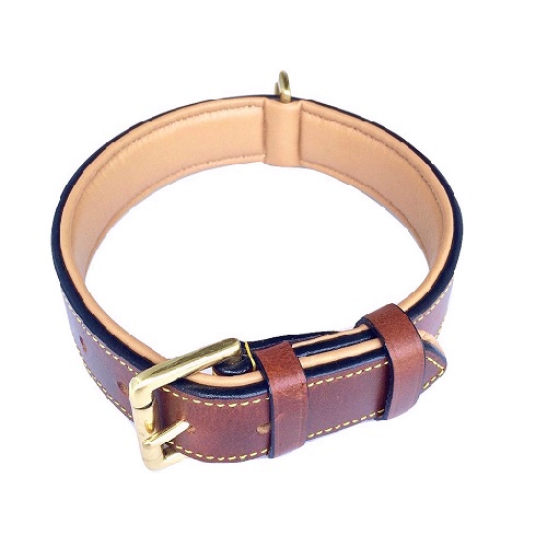 Soft Touch Luxury Real Leather Padded Dog Collar Review