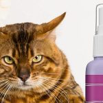 Best Cat Calming Sprays