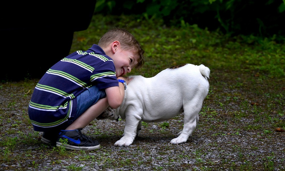 British Boy Dog Names