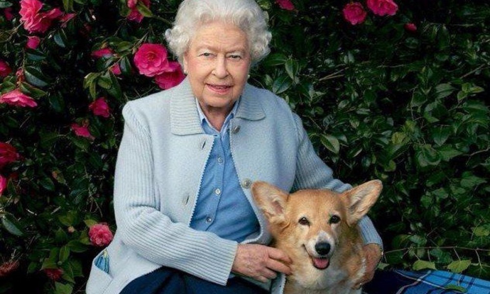 British Dog Names based on the Royal Family