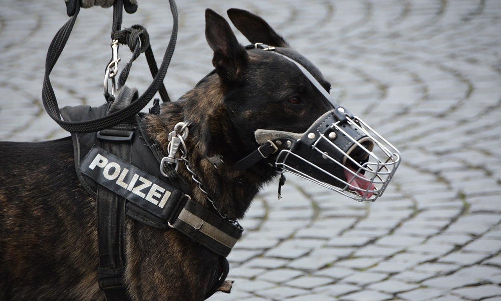 Famous Police Dog Names
