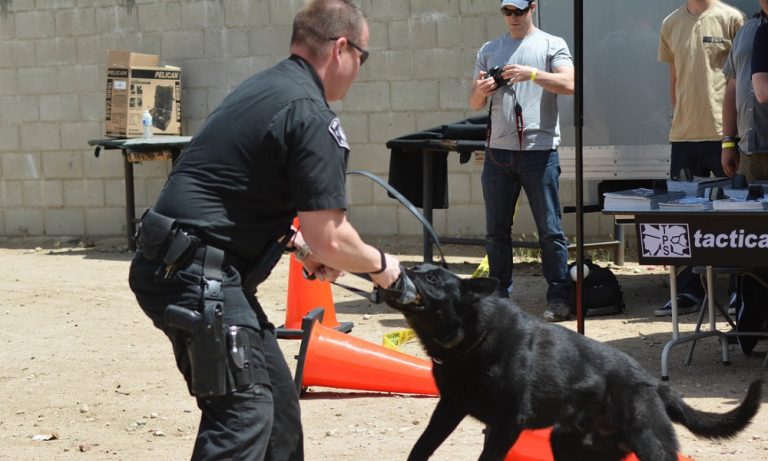 Police Dog Names Strong Courageous Powerful Hints Pet Guide Reviews list-of-the-best-police-dog-breeds-with-pictures-101dogbreeds