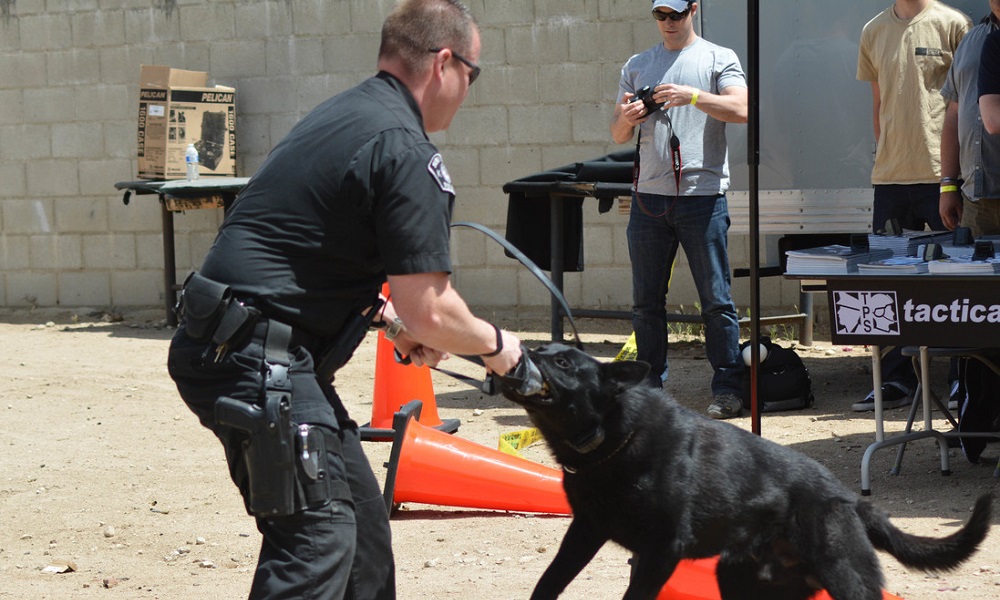 Police Dog Names Strong Courageous Powerful Hints Pet Guide Reviews