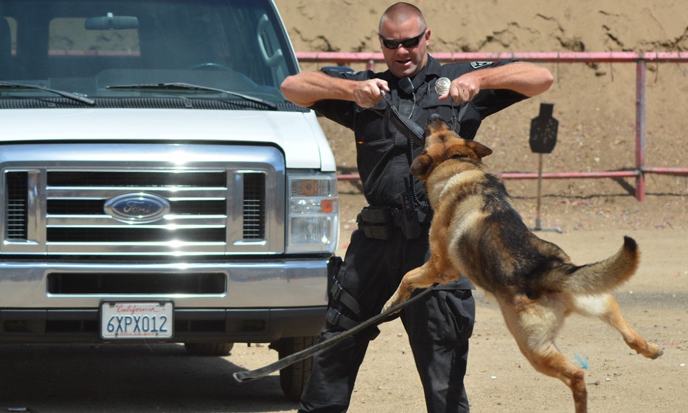 Strong Police Dog Names