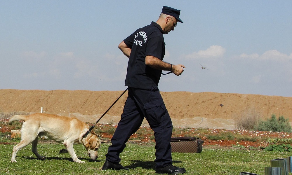 Tough Police Dog Names