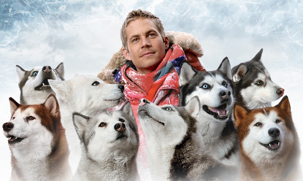 Winter Dog Names Inspired by Movies and TV Show