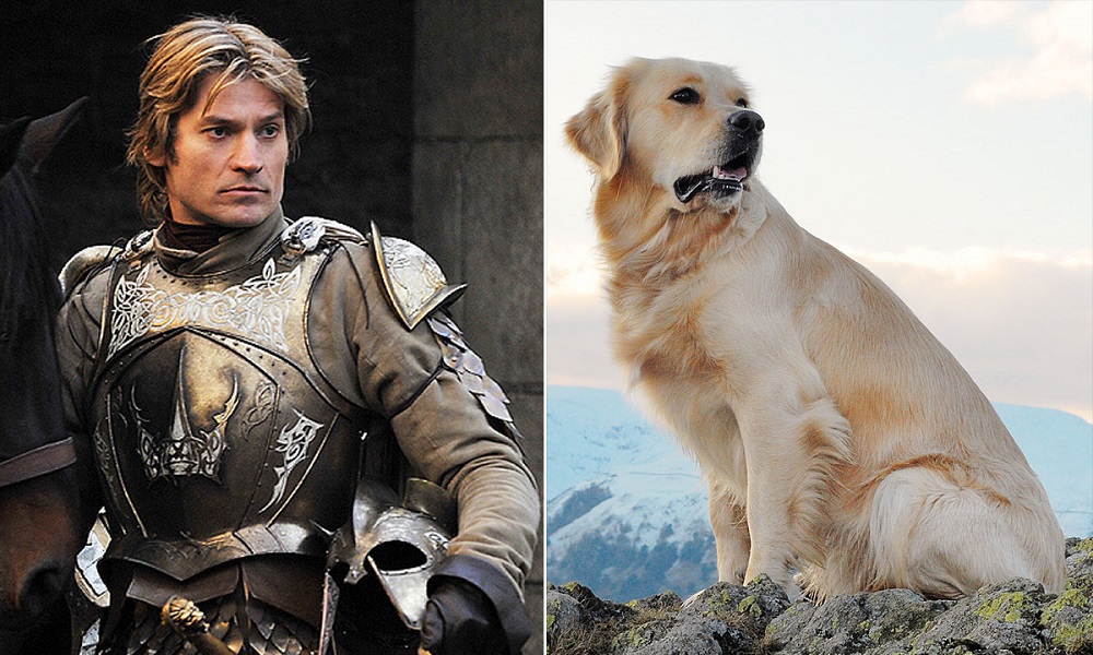 Game of Thrones Characters that Make Great Dog Names