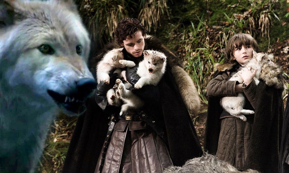 Game of Thrones Dog Names Inspired by Noble House Families
