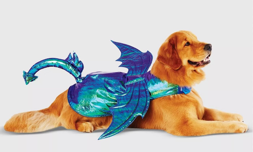 Game of Thrones Dragon-Inspired Dog Names