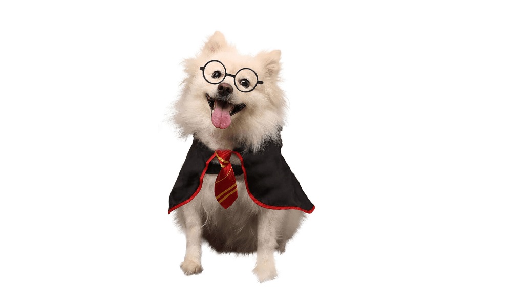 Harry Potter Dog Names