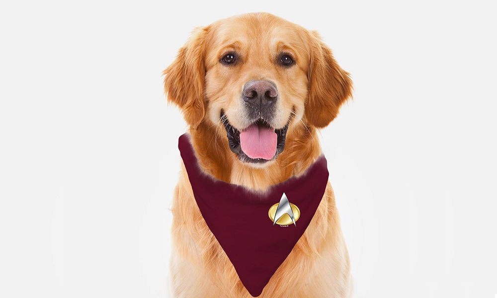 Most Popular Star Trek Dog Names