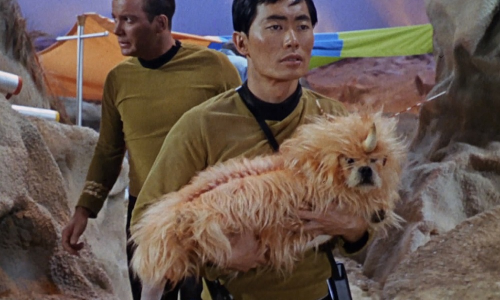Star Trek Dog Names
