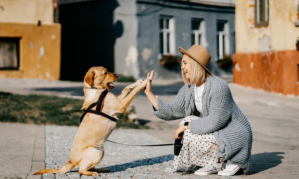 Female Dog Names