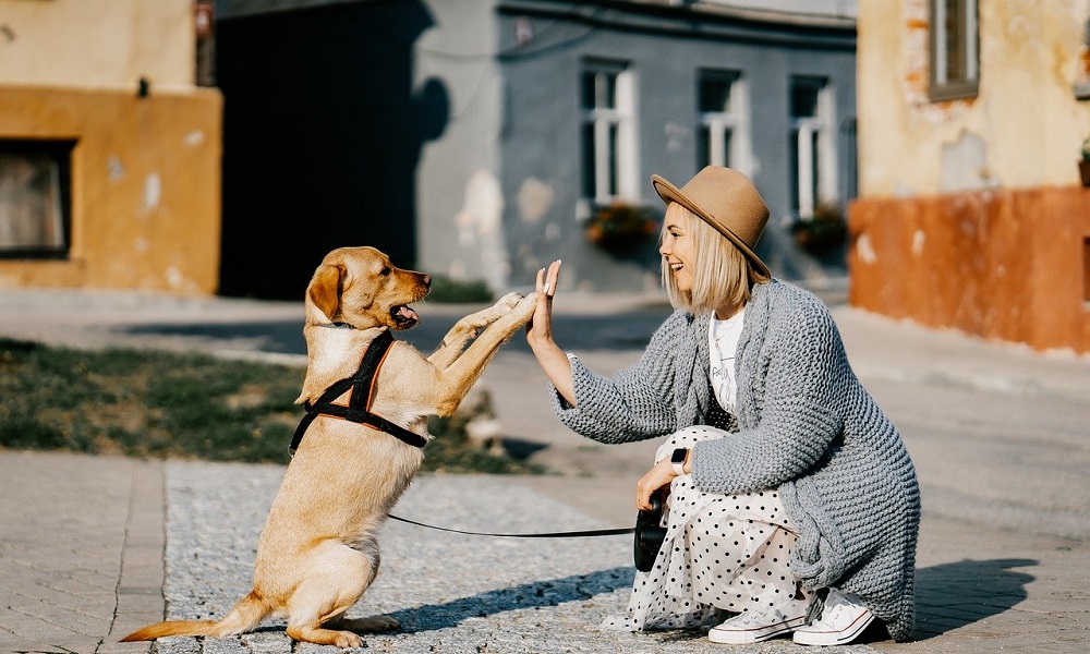 Top Female Dog Names