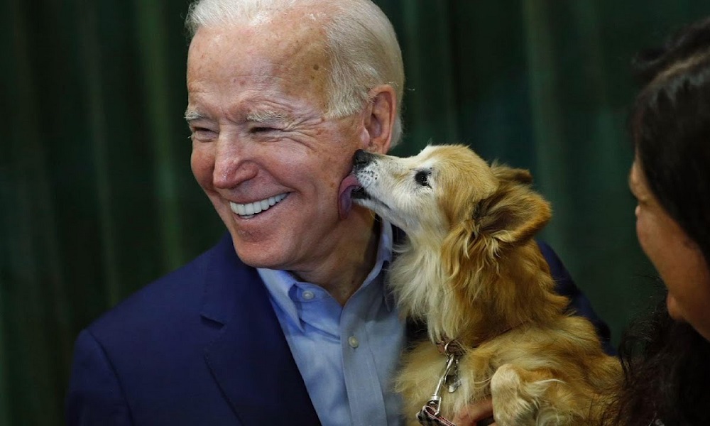 Funny Dog Names Based on Presidential Pets