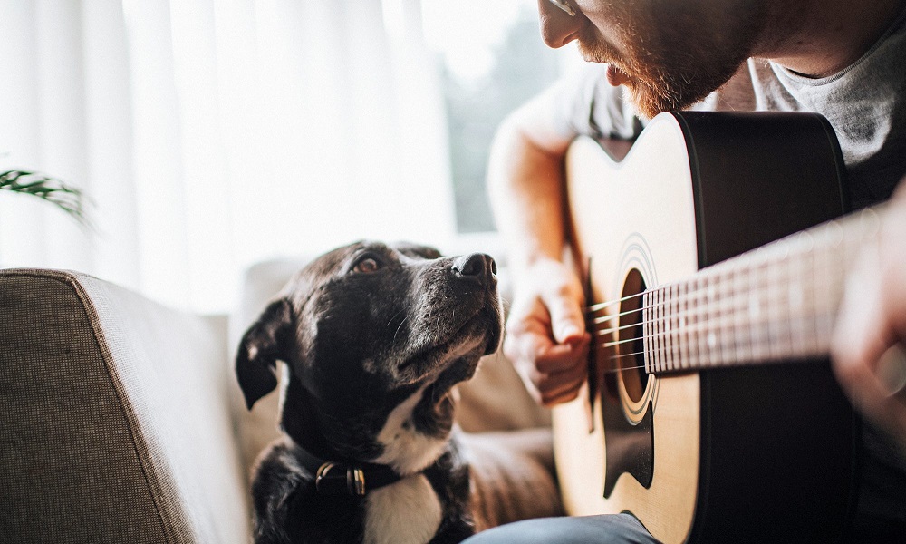 Music Inspired Cool Dog Names