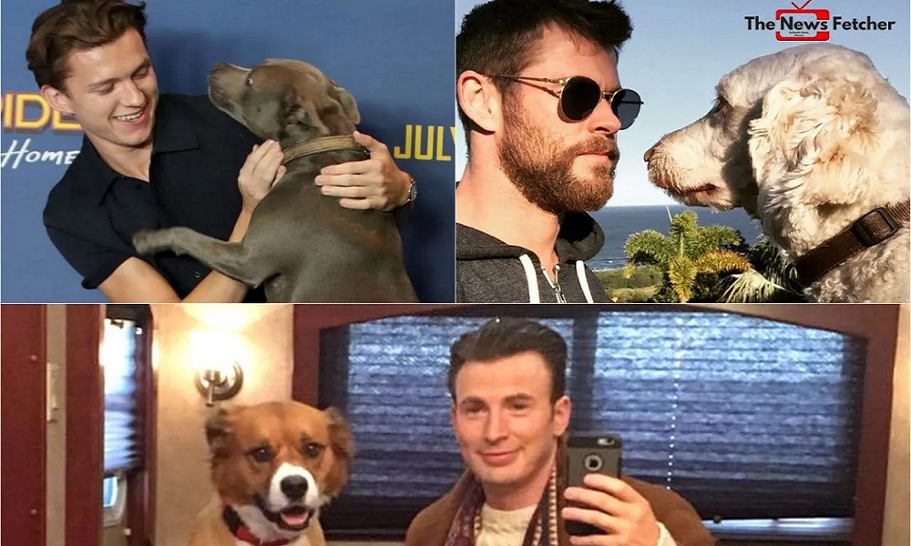 Famous Dog Names Inspired by Actors