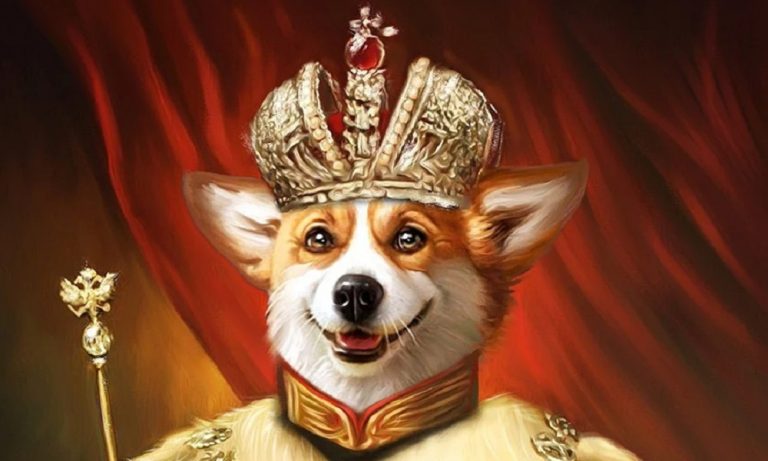 Regal Dog Names for Your Royal Furry Friends