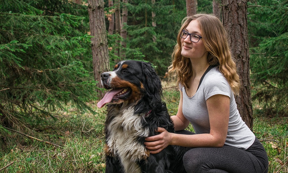 Bernese Mountain Dog Names