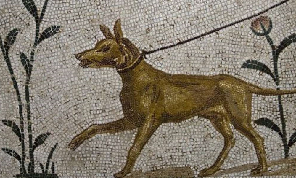 Dog Names Based on Roman History and Mythology