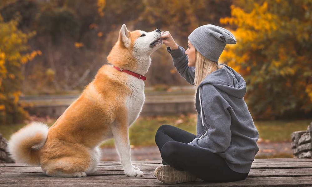 Exotic Dog Names