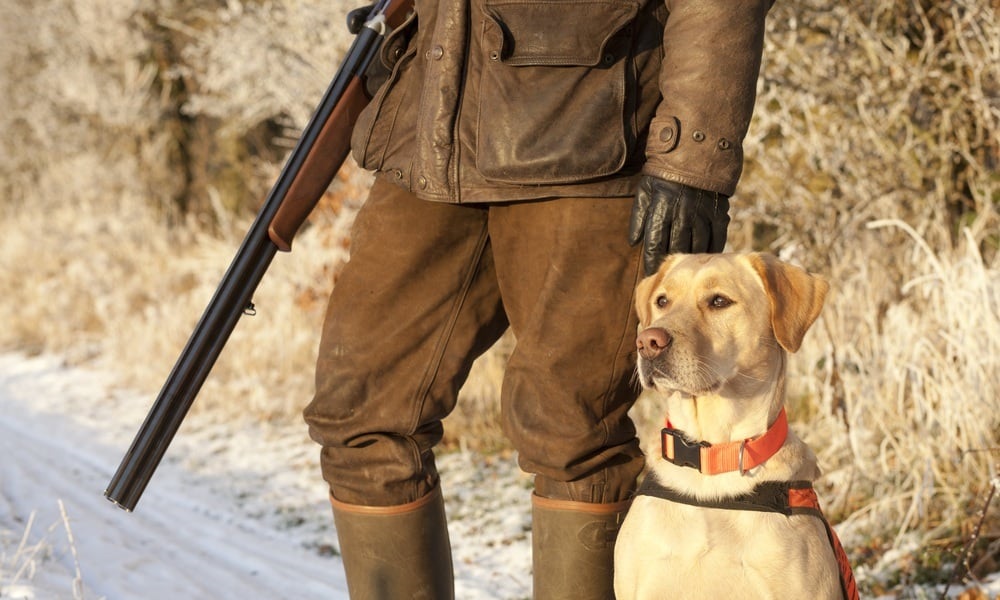 Gun Dog Names Inspired by Famous Characters That Loved Their Guns