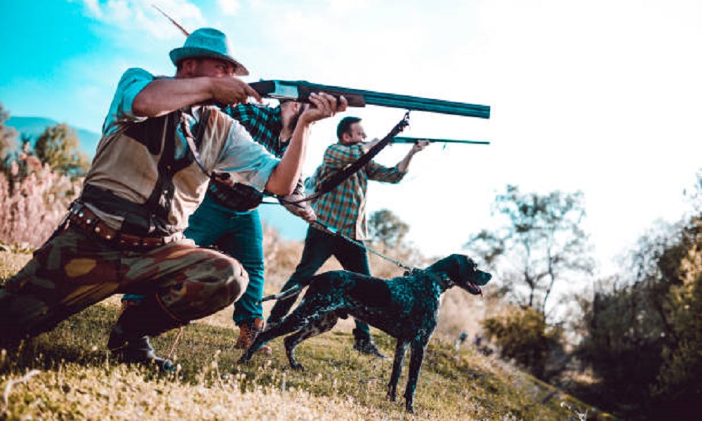 Gun Dog Names Inspired by Famous Hunters and Shooters
