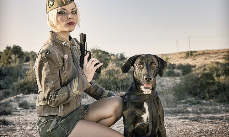 gun-dog-names-150-updated-amazing-list