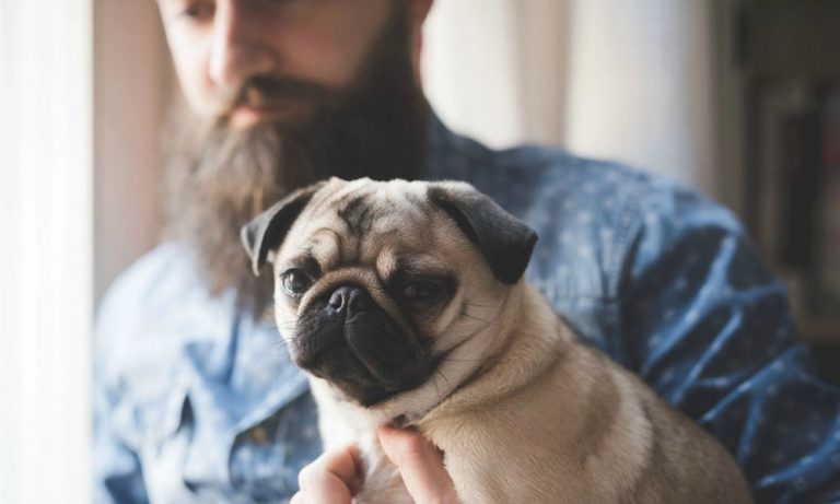 150+ Hipster Dog Names that You Would Love