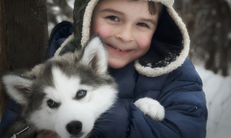 1200 Ultimate Collection Of One Syllable Dog Names