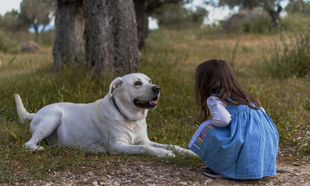 One-Syllable Girl Dog Names