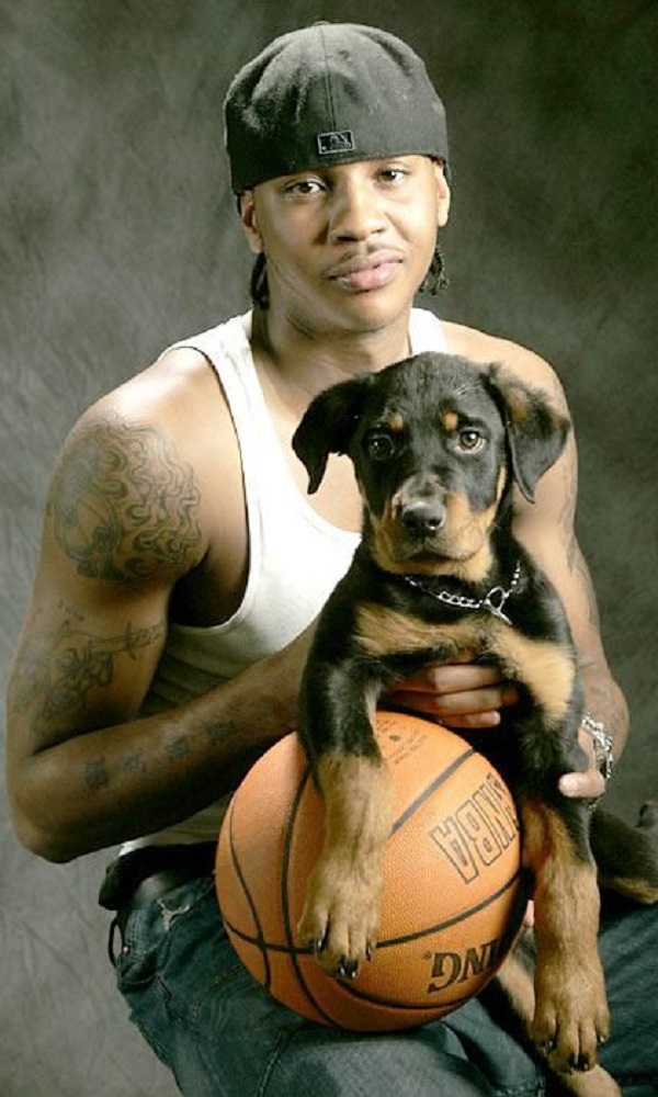 Basketball Dog Names Inspired by Famous Players