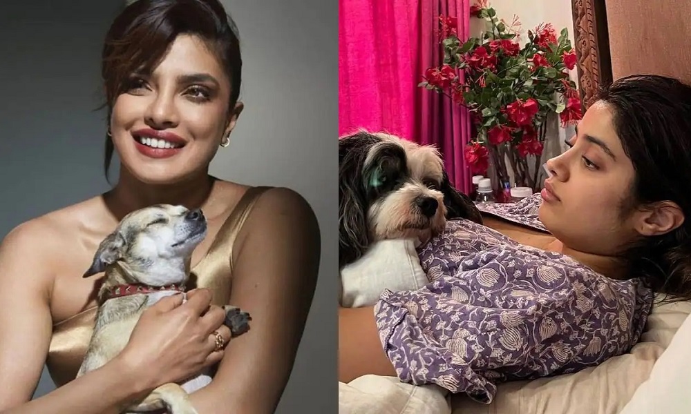 unique-and-cool-indian-dog-names