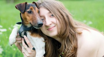 Terrier Dog Breeds