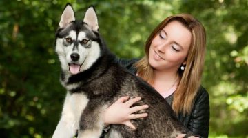 Types of Husky Dog Breeds