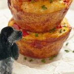 Can Dogs Eat Quiche