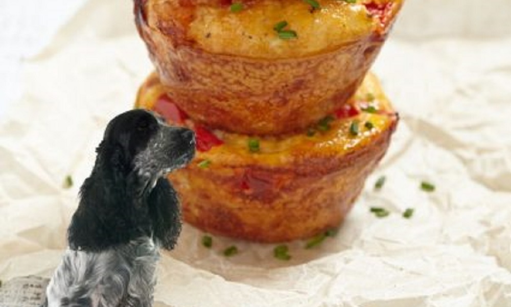 Can Dogs Eat Quiche