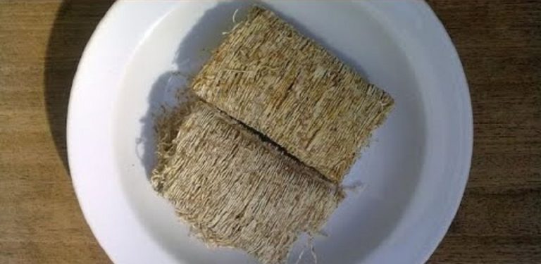 Can Dogs Eat Shredded Wheat?