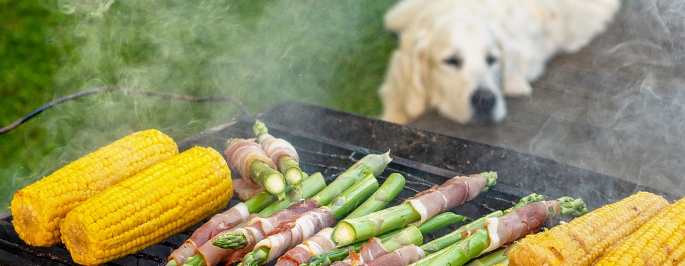 Can Dogs Eat Sweetcorn Uk?