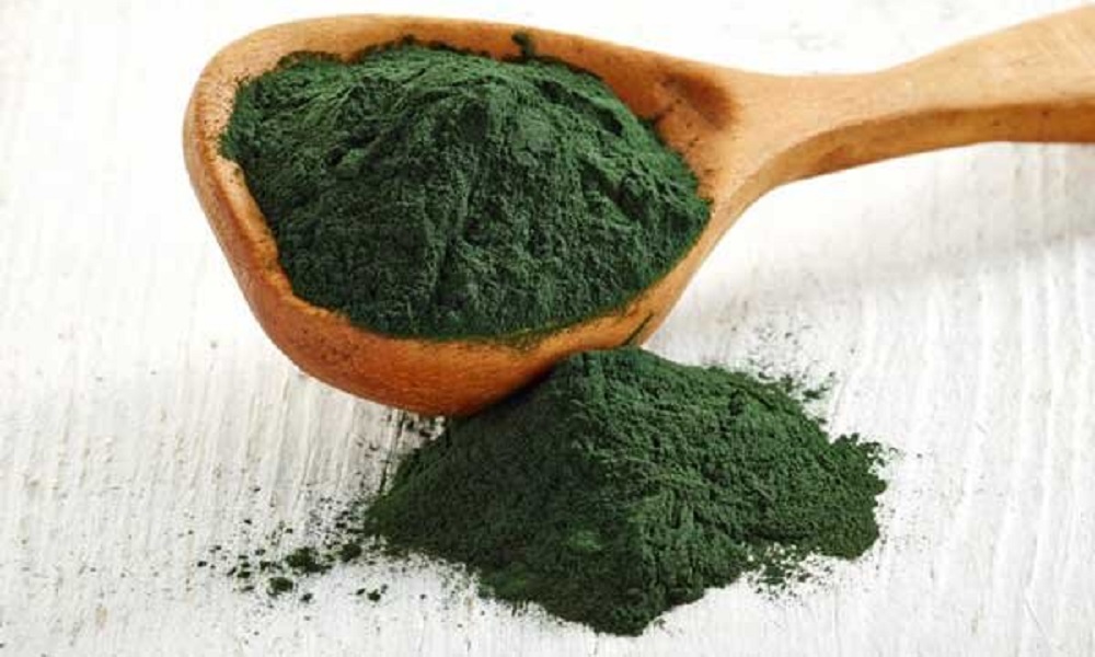 Can Dogs Eat Spirulina?