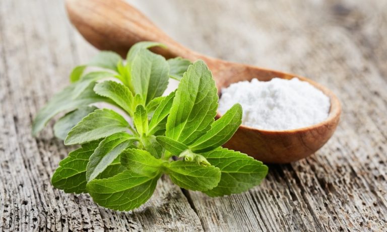 Can Dogs Eat Stevia?